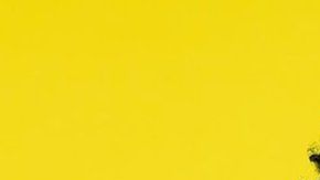 Hay que pensar si el futuro implica más tiempo en la oficina.