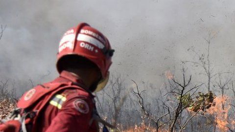 Los fuegos ya arrasaron cerca de dos millones de hectáreas.