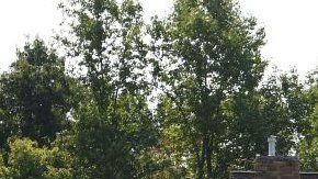 108750665_gettyimages-1167234289