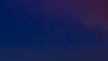 Las extinciones masivas se relacionan con trastornos ambientales devastadores.