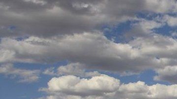 Los 5 principales terratenientes tienen un total de casi 9 millones de hectáreas.