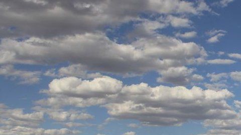 Los 5 principales terratenientes tienen un total de casi 9 millones de hectáreas.