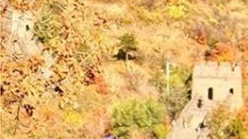 Eileen Lam fotografía a las muñecas en distintas partes del mundo.