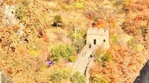 Eileen Lam fotografía a las muñecas en distintas partes del mundo.