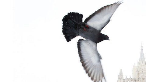 108805327_gettyimages-938576954