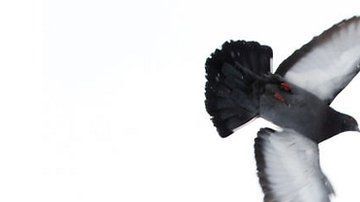 108805327_gettyimages-938576954