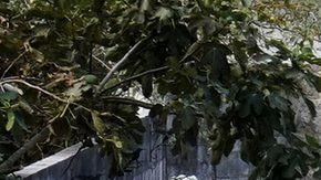 La Guardia Civil recoge evidencia en la escena del crimen en Valga.