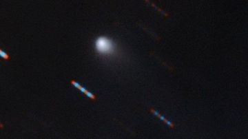 En su primera foto, el nuevo visitante interestelar muestra su cola de cometa.