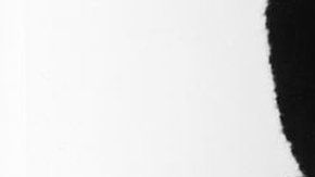 El cantante Al Jolson (1896 - 1950) usaba maquillaje "blackface".