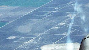 108892605_blackbi16788