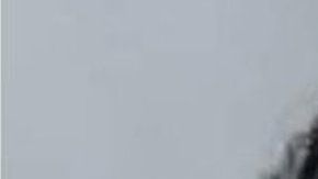 Ágatha Vitória Sales Félix,