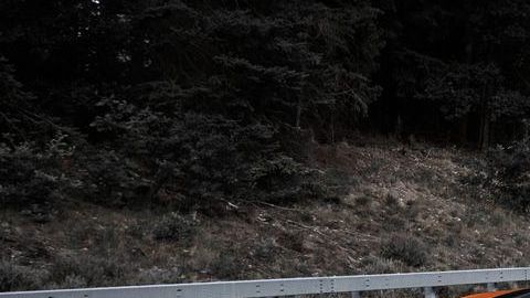 Bugatti Chiron dice que lo ha logrado superar las 300 millas por hora), y ahora se retira de la carrera para crear los autos de producción más rápidos