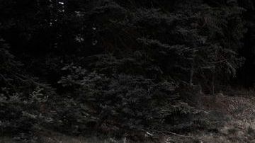 Bugatti Chiron dice que lo ha logrado superar las 300 millas por hora), y ahora se retira de la carrera para crear los autos de producción más rápidos