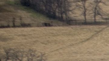 El cohete impactó en un área del desierto de Arizona.