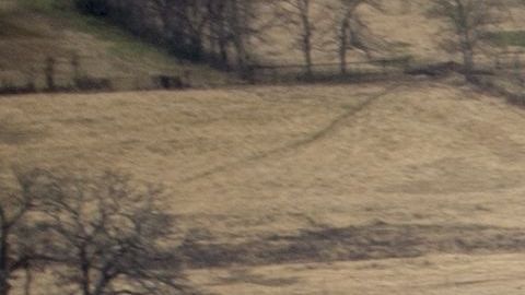 El cohete impactó en un área del desierto de Arizona.