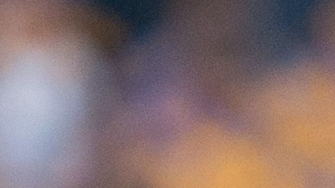 Ricardo el "Tuca" Ferretti.