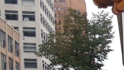 Muchos ciclistas viajan en sentido contrario a la vía