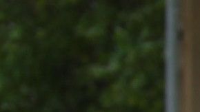 Pérez fue deportado en marzo de 2018. Ahora vuelve a pedir la ciudadanía.