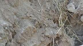 Ramon Sosa averiguó que su esposa quería matarlo.