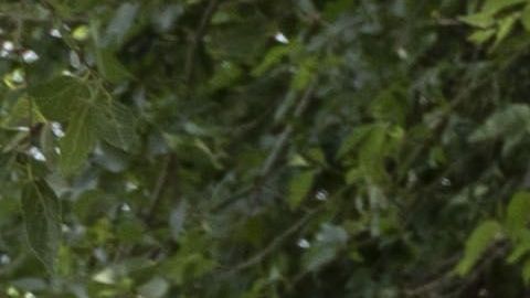 El juez Dana Sabraw tiene que definir con mayor exactitud las pautas para separar familias en la frontera.