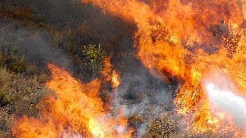 Imágenes del incendio iniciado en Eagle Rock el pasado 25 de agosto que amenazó casas en Glendale.