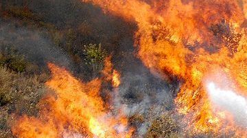 Imágenes del incendio iniciado en Eagle Rock el pasado 25 de agosto que amenazó casas en Glendale.