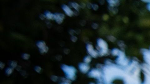 NDLON: "La mejor manera de proteger de verdad a las comunidades es expulsar a ICE".