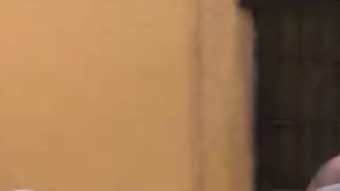 Pareja mantiene relaciones sexuales a plena luz el día en la calle.