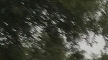 La Guardia costera ayuda a rescatar personas en Beaumont, Texas.