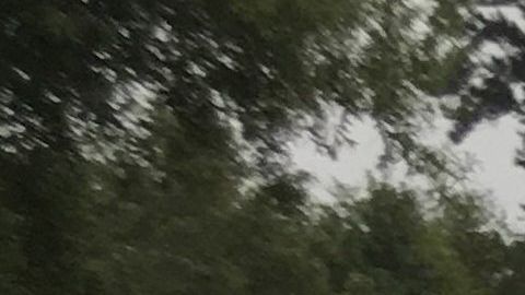 La Guardia costera ayuda a rescatar personas en Beaumont, Texas.