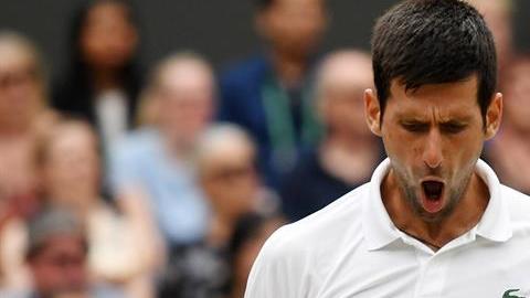 Novak Djokovic manifestó abiertamente su apoyo a Croacia en la final de Rusia 2018
