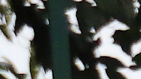 Emiliano Sala murió en un accidente aéreo