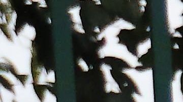 Emiliano Sala murió en un accidente aéreo