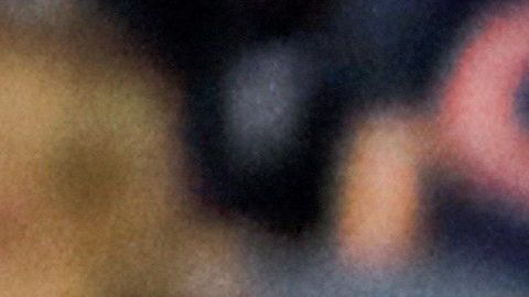 Nuestras vidas volverán a tener sentido por los próximos 6 meses