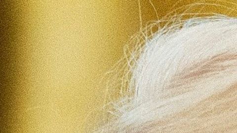 El presidente electo guatemalteco se reunió con el Secretario de Estado de Donald Trump.