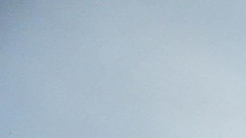 Una brigada forestal del Ibama formada por indígenas de la etnia Tenhari, participan en la extinción de un incendio, en la reserva indígena de su etnia, situada en el sur del estado de Amazonas (EFE)