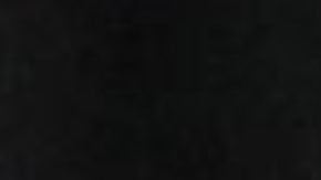 Trump forzaría a Ucrania para que iniciara una investigación en contra de Biden.