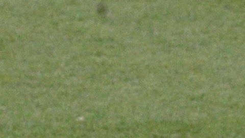 Los ‘ciudadanos’ arrancan su andar con su primer duelo de visita al Shakhtar