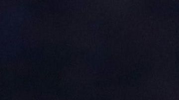 El mexicano sigue sin convencer al exjugador holandés.