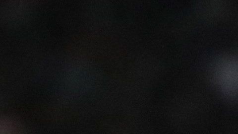 "Chicharito" le dedicó su primer gol con el Sevilla  a su hijo Noah, quien cumplía 3 meses de edad.