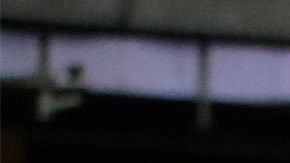 Los Yankees volvieron a ganar el título de la División Este de la Liga Americana después de 7 años.