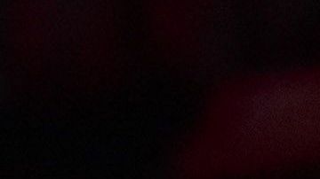 Nick Kyrgios fue castigado por la ATP.