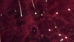 El alemán ganó el Gran Premio de Singapur con una polémica estrategia de su escudería.