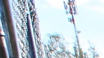 Migrantes mexicanos que fueron desplazados forzosamente por el crimen organizado.