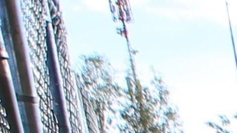 Migrantes mexicanos que fueron desplazados forzosamente por el crimen organizado.