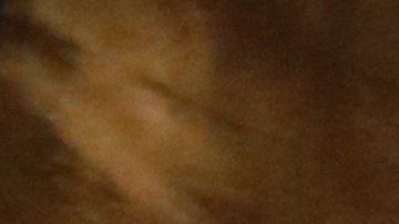 Trump llamó al paso adelante de los demócratas "caza de brujas" y "acoso presidencial".