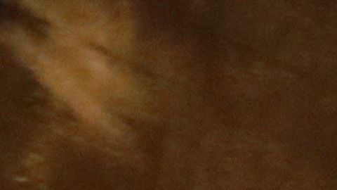 El presidente Donald Trump.