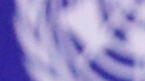 Presidente Donald Trump.