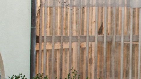 Cuando cruzaron la frontera, los agentes migratorios dejó al grupo a su suerte.