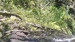 La joven se resbala mientras se encuentra parada al filo de una piedra.